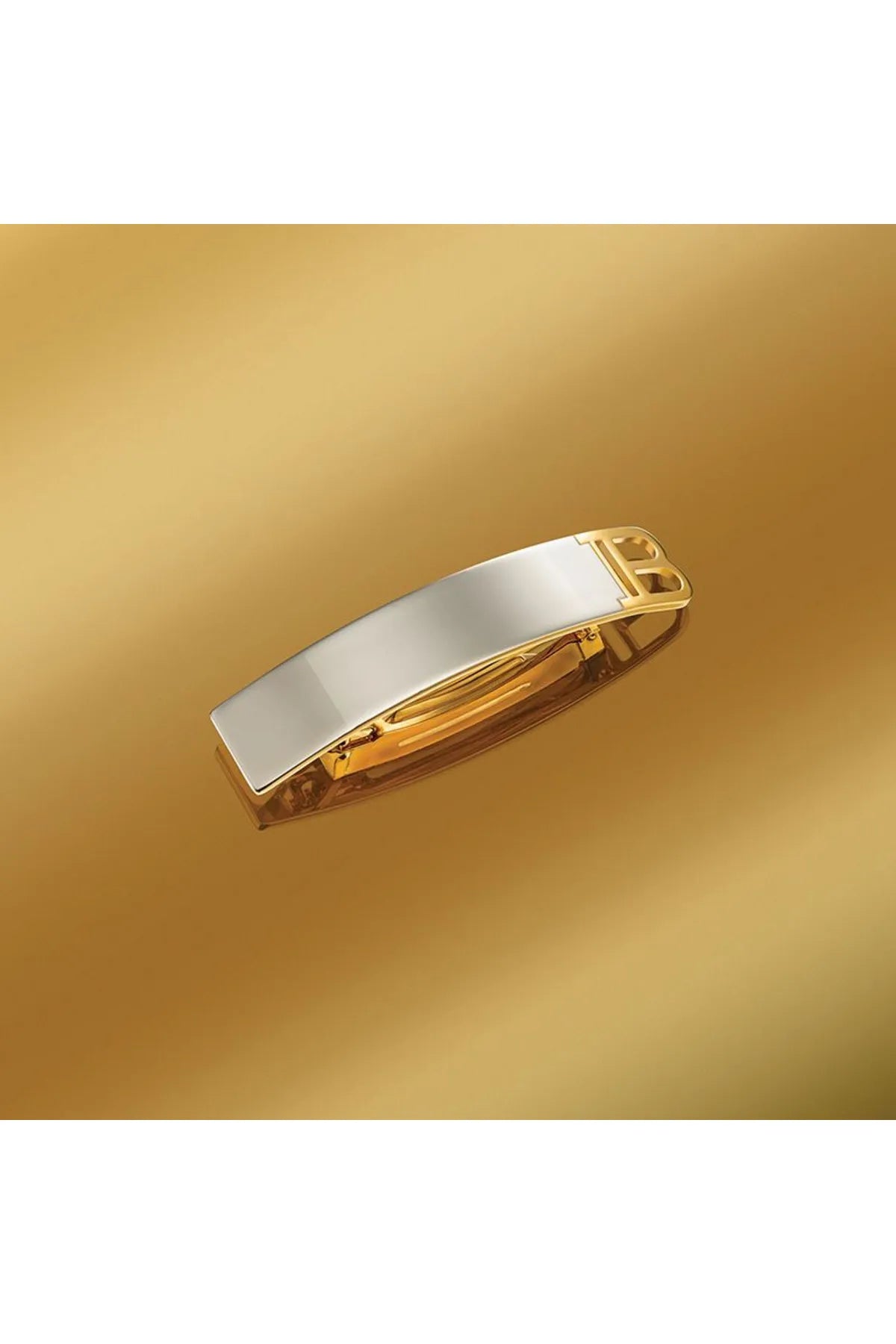 Barrette Pour Cheveux Medium Silver/Gold